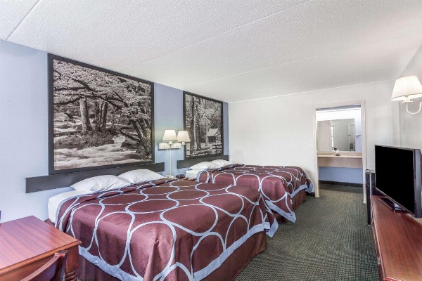 Super 8 by Wyndham Kingston image 3
